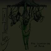 The Intricacies of Form